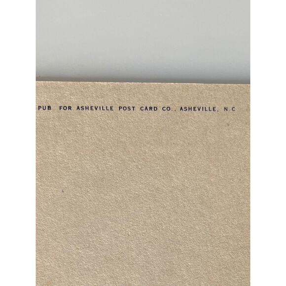 Antique Litho Postcard 1920s Humorous Twin Girls Boy Jump Colorful Asheville Co - Picture 4 of 5